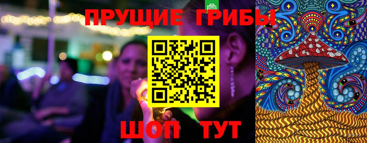 Тольятти  Галлюциногенные грибы прущие грибы  Вход с VPN 